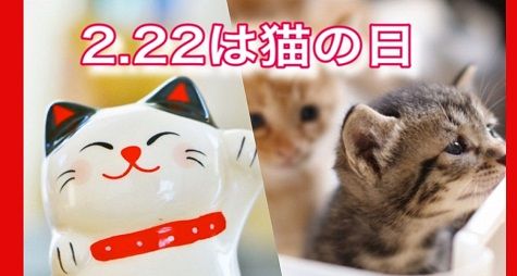 (=^・^=)　猫の日 画像