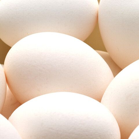 卵の価格の高騰🍳 アイキャッチ画像
