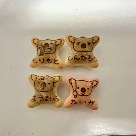 🐨コアラのマーチ🐨 アイキャッチ画像