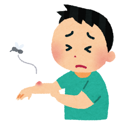 虫刺されに注意⚠️ 画像