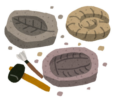 化石の日⚒️ 画像