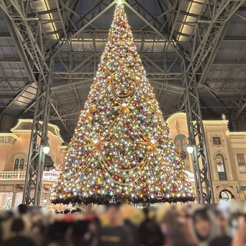 クリスマスディズニー🎄 画像
