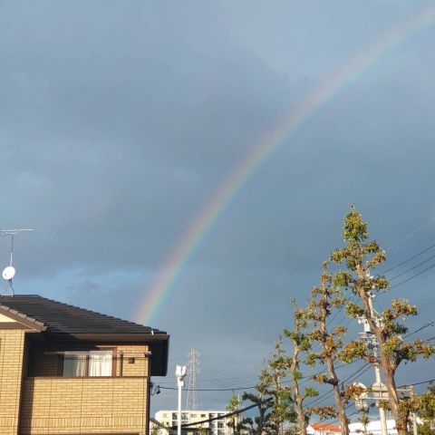虹🌈 画像