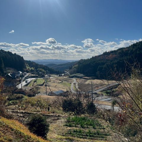 景色🏞️ 画像