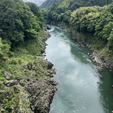 癒し🏞️ アイキャッチ画像