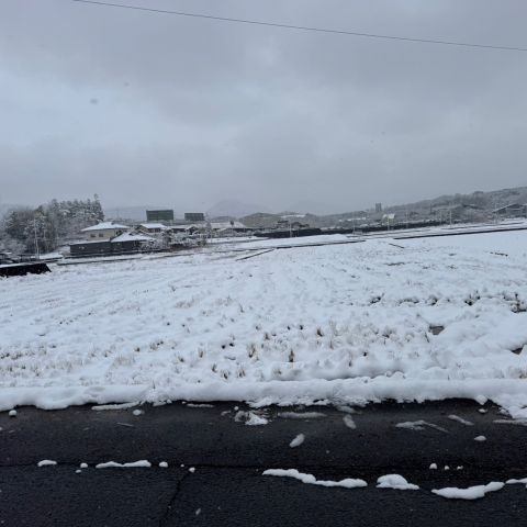 積雪⛄ 画像