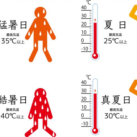酷暑日が続きます🥵 画像