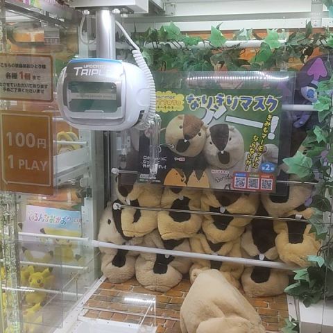 ゲームセンター🎮 画像
